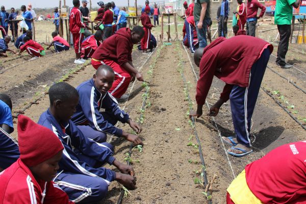 HSAgriculture